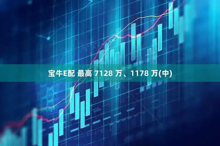 宝牛E配 最高 7128 万、1178 万(中)