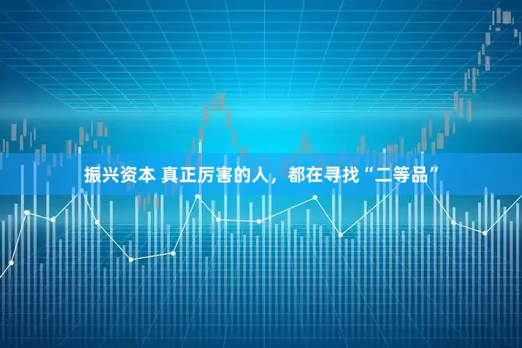 振兴资本 真正厉害的人，都在寻找“二等品”