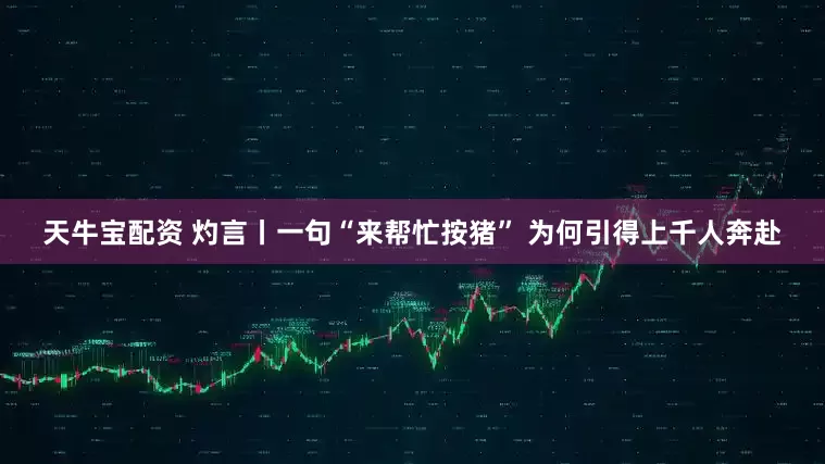 天牛宝配资 灼言丨一句“来帮忙按猪” 为何引得上千人奔赴