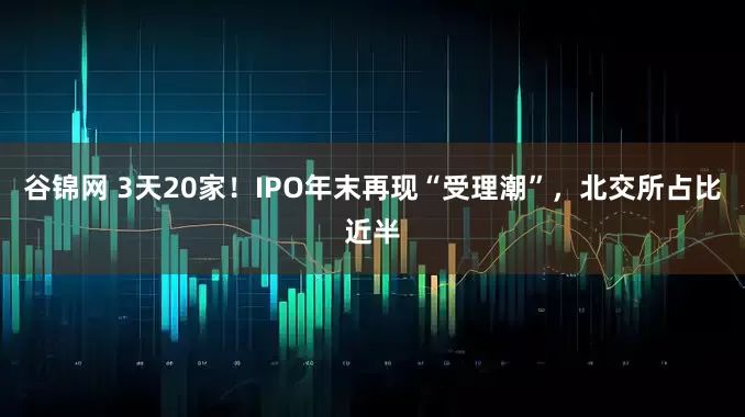 谷锦网 3天20家！IPO年末再现“受理潮”，北交所占比近半