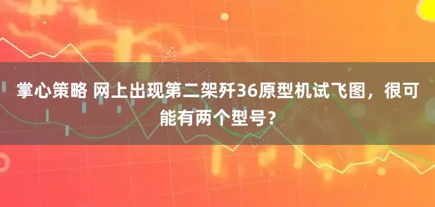 掌心策略 网上出现第二架歼36原型机试飞图，很可能有两个型号？